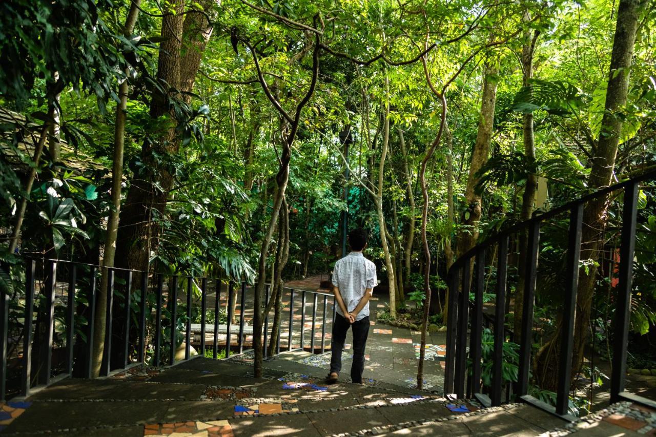 Hotel La Casa De Los Arboles Immersive Experience Zacualpan de Amilpas Екстер'єр фото